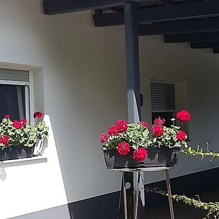Апартаменти Apartma Mbm Krizevci pri Ljutomeru Екстер'єр фото
